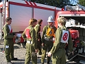 bild (11)